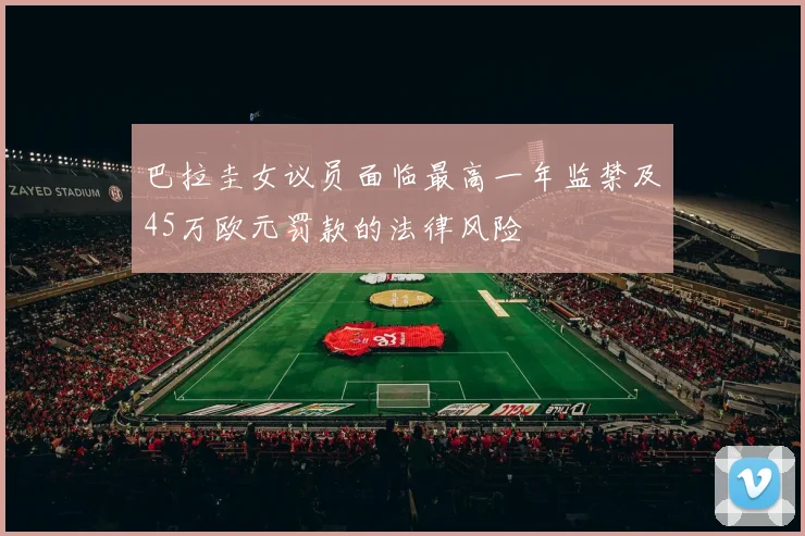 巴拉圭女议员面临最高一年监禁及45万欧元罚款的法律风险